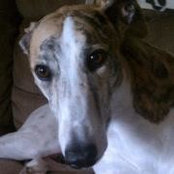 Heather Aylor Makover's photo