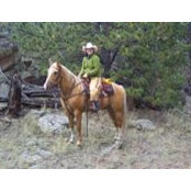 Ann Hornsby's photo