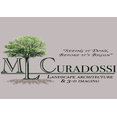 ML Curadossi Design's profile photo