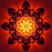 Missy Allen's photo