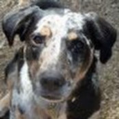 Hallie Greene's photo