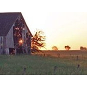 Jody Fouch Halling's photo