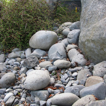 Natural Textures