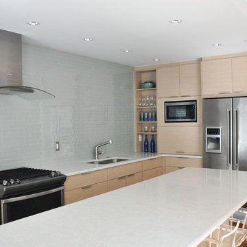 Modern Minimalist Kitchen