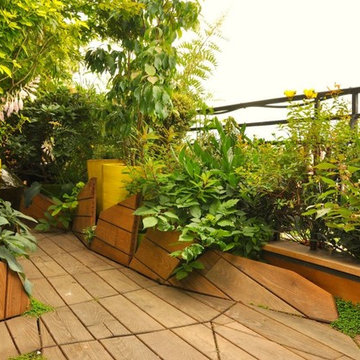 Création d’une terrasse « en mouvement » et mur végétalisé