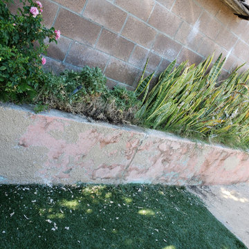 Backyard clean up and remodel