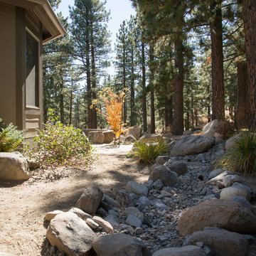 Forest home backyard renovation