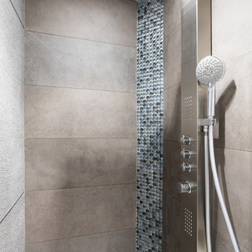 Contemporary Bath with Varying Opacity Door