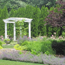 Dream Yard