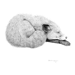 I'm Only Sleeping - Fine Art Prints