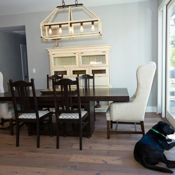 Austin Remodel - W. Francis II