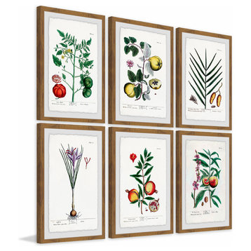 "Plantas Jali Hexaptych" Framed Prints, 12"x18", 6-Piece Set