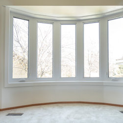 Aspen Renovation - Windows