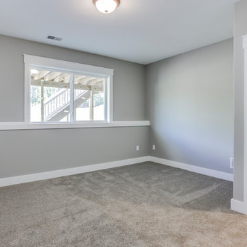 Lower level bedroom