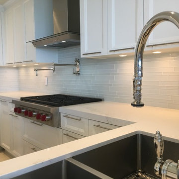 Toronto Contemporary Condo Remodel