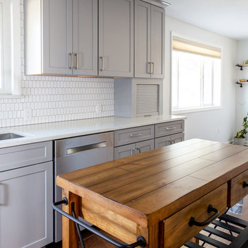 Dudley Street Kitchen Renovation