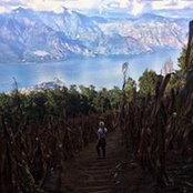 Simona Arnautov's photo