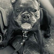 Ashley Quirico's photo