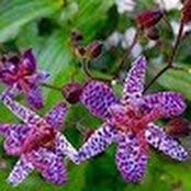 Rebecca Giordon's photo