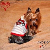 Julie Gause's photo