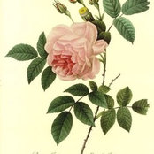 Foto von Marie Eakin