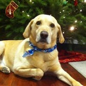 Carroll Geddie's photo