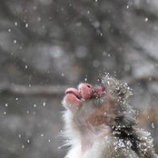Capi-Chris Townsend's photo