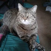 Debbie Aune's photo
