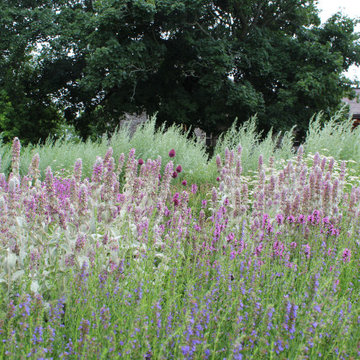 Stonehouse Meadow - Summer