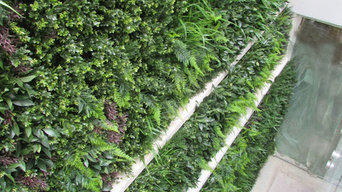 Exterior Artificial Green Wall in a Lightwell