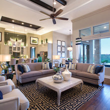 Living Room Ideas