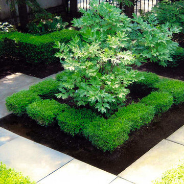 Gardens, Landscaping and Edging