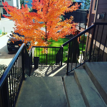 Front Yard Landscapes with Artificial Grass