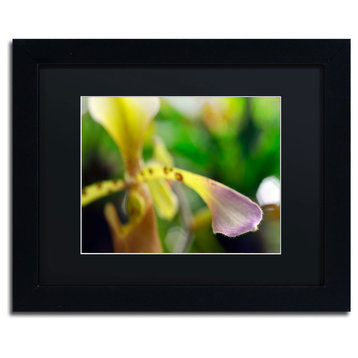 'To Touch an Orchid' Matted Framed Canvas Art by Kurt Shaffer