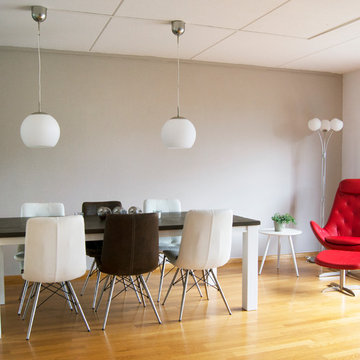 Scandinavian & Zen - Living & Dinning