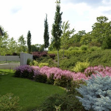 Sensory garden