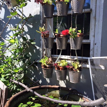 Havenscourt Homestead Aquaponics