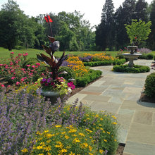 Landscaping -Sisson Ideas