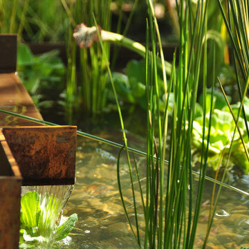 Modern Water Feature