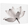 Lotus Flower Images Canvas Wall Art - Tinted Floral Nature Photo Print, 24" X 36"