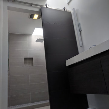 Bold Gray Master Bath Remodel with Barn Door & Skylight — Fremont, CA, 2018