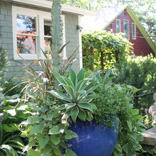 Planters
