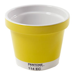 Pantone Flower Pot - 114 EC - Indoor Pots & Planters