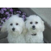 Cindy Kuster's photo