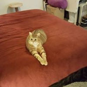 Calvin Richmond Jr.'s photo