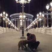 Danilo Novakovic's photo
