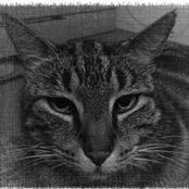 Paul Bugeja's photo