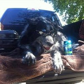 Karyn Moon's photo