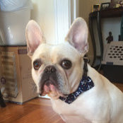 Sara Dankosky's photo