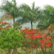 Foto von Rodolfo Pichardo